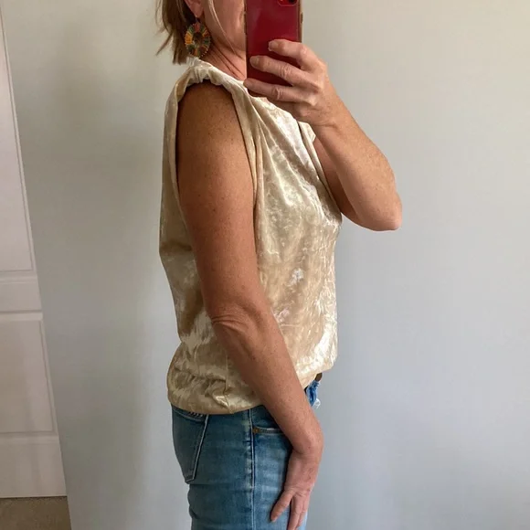 Beige Color Velvet Sleeveless Top - Picture 4 of 10